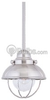 Single-Light Mini-Pendant Fixture - 6150-98 - bulbs.com