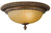 Flush Mounts-Bowl Style - 84763 - Light Center (The)