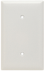 Blank Plate -- Strap Mounted, One Gang -- SP14W - Image