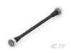 RF Cable Assemblies - 2441531-1 - TE Connectivity