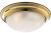 P3760-10EBWB Flush Mounts-Bowl Style - 604309 - Capital Lighting, Inc.