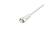 QD Cable/Cord Set -  - Radwell International