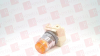 Pilot Light -- 100990679 - Image