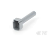 Automotive Connector Caps & Covers - DTM6S-BT - TE Connectivity