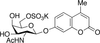 4-Methylumbelliferyl 2-Acetamido-2-deoxy-β-D-galactop.. - M333540 - Toronto Research Chemicals, Inc.