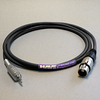 HAVEFlex Starquad XLRF-Mini TRS 2' - 205400-02 - HAVE, Inc.