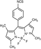Bodipy Isothiocyanate - 7676 - Medical Isotopes, Inc.