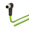 Ethernet Cable -- 101004 - Image
