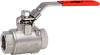 2006HLS Series Ball Valves - Image