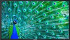 42-inch Full HD LCD Display - TH-42LF20U - Visual Sound, Inc.