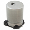 Aluminum Electrolytic Capacitors - 4625PHTR-ND - DigiKey