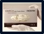 Crosstex Omega Lightly-Powdered Latex Exam Gloves - Image