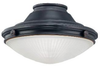 Fans-Light Kits - 301167 - Light Center (The)