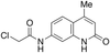 Carbostyril 124 N-Carboxymethyl Chloride -- 8090 - Image