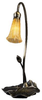 12432 Lamps-Accent Lamps - 721734 - Capital Lighting, Inc.