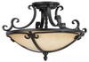 Close to Ceiling Lighting Fixture - SF229BK - Generation Brands