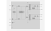Isolation, Si827x Isolated Gate Drivers -- Si8275AB-IS1 - Image