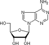 Adenosine - A0152 - TCI America