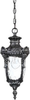 60-2025 Exterior -Hanging - 471377 - Capital Lighting, Inc.