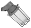 Vaporproof Incandescent Fixture with Globe and Guard - VPAN20125G - Appleton Electric