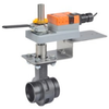 Butterfly Valve -- F650VIC+AMX24-MFT-X1 - Image