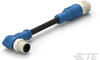 M8/M12 Cable Assemblies - T4162213002-005 - TE Connectivity