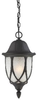 190081030 Exterior -Hanging - 399042 - Capital Lighting, Inc.