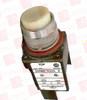 Pilot Light - 8871 - Radwell International
