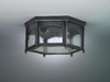 Exterior -Ceiling Mount - 345418 - Light Center (The)