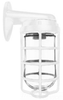 Vaporproof Fluorescent Fixture with Globe and Guard - VBR100DGW/F13 - RAB Lighting