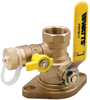Isolation Pump Flanges with Purge Port and Swivel Flange - PIPFM1 - Watts