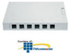 ICC 12-Port Surface Mount Box - IC107SBTWH - TelephoneStuff.com