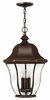 Exterior -Hanging - 258560 - Light Center (The)