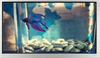 All Shore Industries, Inc. > Liquid Crystal Displays | - ASI-T-650MA4TN/D - All Shore Industries