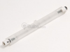 500 Watt, 120 Volt FDN Bulb - W-FDN - bulbs.com