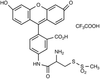 (R)-2-Amino-2-[(5-fluoresceinyl)aminocarbonyl]ethyl Methan.. - 6565 - Medical Isotopes, Inc.