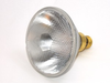 150 Watt, 120 Volt Halogen PAR38 Flood -- B683954 - Image