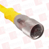 QD Cable/Cord Set - 602028 - Radwell International