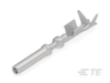 Automotive Terminals - 1-2461132-1 - TE Connectivity