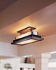123709-17-B417 Semi-Flush Mts.-Other - 365001 - Capital Lighting, Inc.