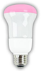 8R20/FROST/PINK DIMMABLE CCFL - 81304 - Premium Quality Lighting