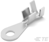 Ring Terminals - 280261-2 - TE Connectivity