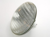 1000 Watt, 120 Volt FFS Bulb - W-FFS - bulbs.com