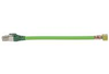 Cable Assemblies - 20826311002 - Powell Electronics, Inc.