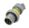 Plug/Receptacle - Radwell International