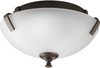 P3290-20EBWB Flush Mounts-Bowl Style - 427251 - Capital Lighting, Inc.