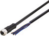 Connecting cable with socket - E3M132 - ifm electronic gmbh