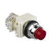 Pushbutton Switches - 4008-9001K2L38LRRH13-ND - DigiKey