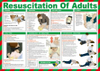 Safety Posters - 7873739 - RS Components, Ltd.
