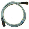 Cable Assembly - 448-XS2W-M12PVC4SS5M - ERSAELECTRONICS PTE. LTD.